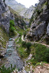 Fototapeta na wymiar Cares Canyon. Picos de Europa National Park, Le—n province, Castilla-Le—n, Spain