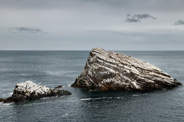 Quartzite sea rocks beside Bow Fiddle Rock with seagulls and Cormorants in Moray Firth North Sea at...