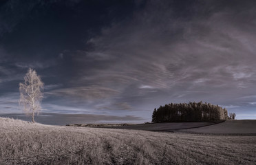 infrared photography - ir photo of landscape with tree under sky with clouds - the art of our world...