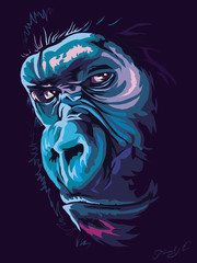 Ape