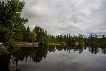 A scenery view of forest reflecting on lake