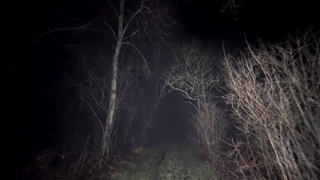 Walking through path in woods at nighttime. Running thorough misty deep forest at night. Scared running away from monsters and death, lost and alone in the dark. Spooky trees and fog in darkness.