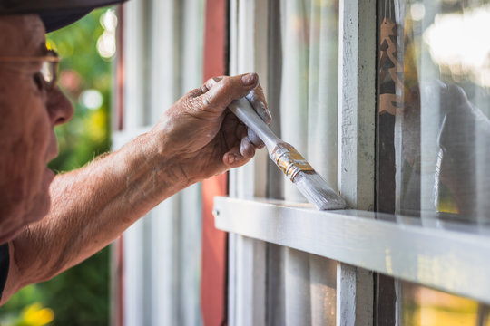 Active senior repairman is painting window frame by paintbrush