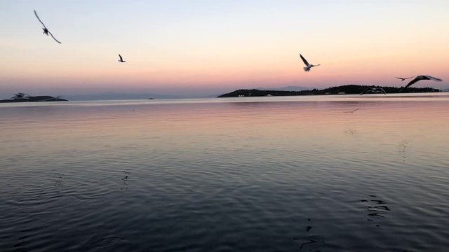street lamp and sea, romantic pink light with sunset backgraound, pink orange weather, blue sky and birds flying