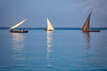 Sailboats on the water surface.  Zanzibar island , Tanzania, Africa.