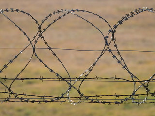 prison wall with protection