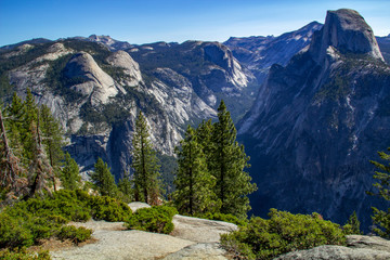 Sequoia tree framed by greenery, mountain and clear blue sky in Sequoia National Park