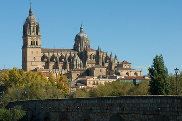 Fototapeta na wymiar Puente Romano,Catedral,Salamanca,Castilla-Leon,Spain