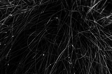 thin metal wire, black and white background image