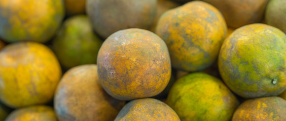 Thailand orange ponkan fruit at market