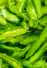 Green Thai leafy vegetable at market