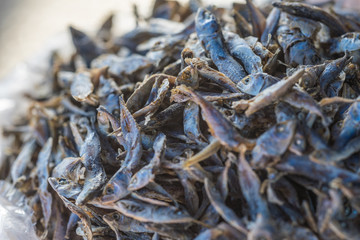 Dried fish in market