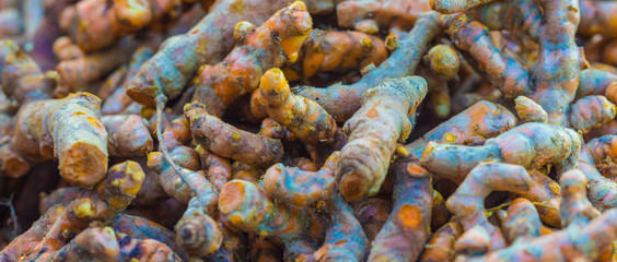 Fresh Turmeric Root in Local market