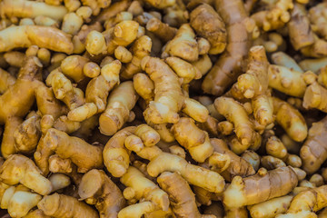 Fresh Organic Ginger Roots at local market