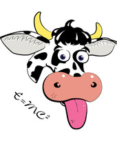 Vache einstein