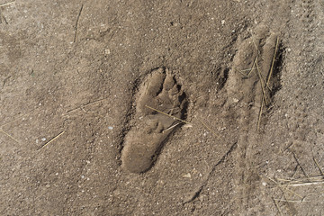 footprint in the sand