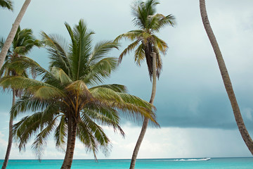 Fototapeta na wymiar Caribbean, beaches and ocean