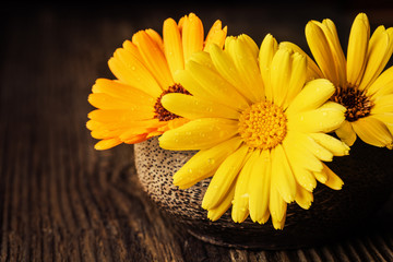 Marigold (calendula) flowers in a bowl on wooden rustic background space for text close-up.