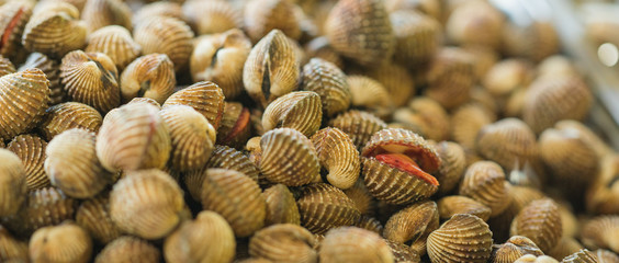 A stack of sea shells for sale at market