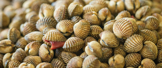 Stack of sea shells for sale at market