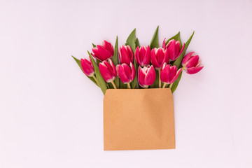 Floral greeting card for the spring holidays. Delicate pink tulips in a envelope on a pink background