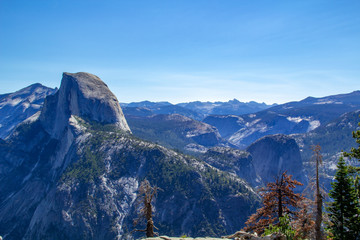 Sequoia tree framed by greenery, mountain and clear blue sky in Sequoia National Park