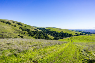 Naklejka premium Trails on the verdant hills of east bay, San Francisco bay area, Hayward, California
