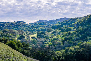 Fototapeta na wymiar The hills and valleys of Briones Regional Park, Contra Costa county, east San Francisco bay area, California