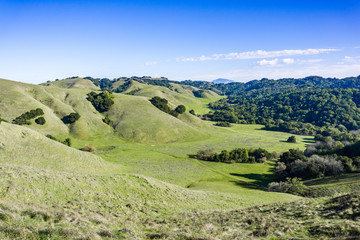 Valley in Briones Regional Park; Mount Diablo in the background, Contra Costa county, east San Francisco bay area, California