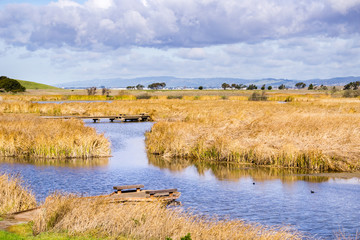 Marsh views, Coyote Hills Regional Park, east San Francisco bay, California