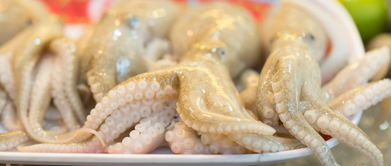 Octopus in the market