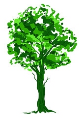Deciduous tree sketch. Green contour isolated on white background. Simple art. Can be used for card banner template. Raster copy illustration