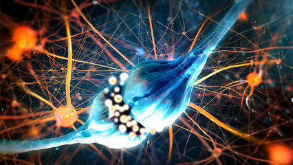 Neurotransmission in the Synapse. Neurons and nervous system (3d illustration)