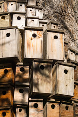 Lots of decorative nesting boxes on the trunk of a large tree, California