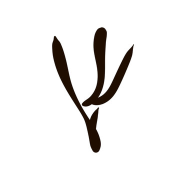 Vector woman vagina Icon illustration on white background