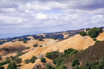Fototapeta na wymiar Hills covered in dry grass in Henry W. Coe Park State Park, San Francisco bay area, California