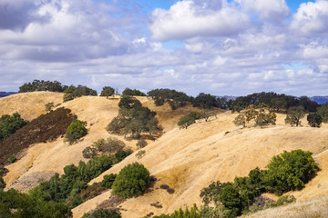 Hills covered in dry grass in Henry W. Coe Park State Park, San Francisco bay area, California