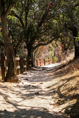Trail in Alum rock park, San Jose, California