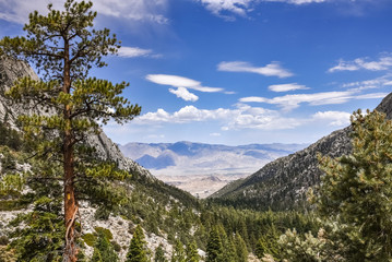 View of the Valley leading to Whitney Portal, Eastern Sierra Mountains, California