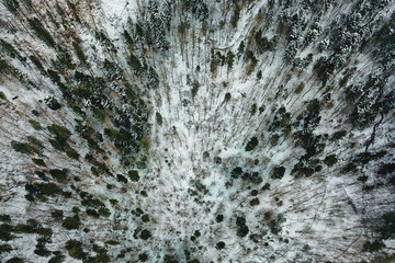 Snowy forest from the sky