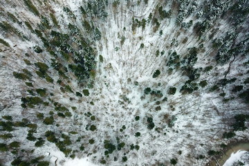 Snowy forest from the sky
