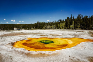 Chromatic Pool, Upper Geyser Basin, Yellowstone National Park