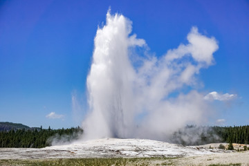 The Old Faithful geyser erupting, Yellowstone National Park