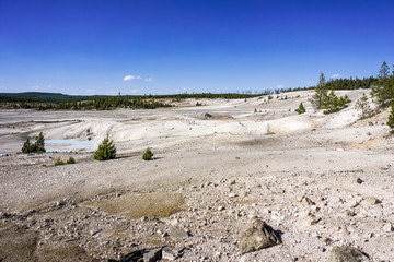 Afternoon view of Norris Geyser Basin, Yellowstone National Park