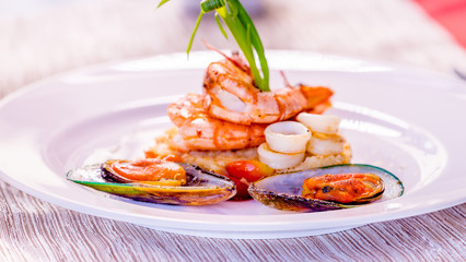Fine dining mixed seafood set on the white plate, Shrimps, squids, green mussels