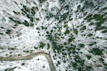 Snowy forest from the sky