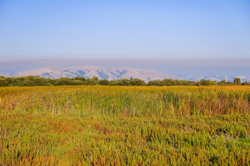 Fototapeta premium Marsh in Coyote Hills Regional Park; on the background smoke from Soberanes fire is visible, San Francisco bay area, California