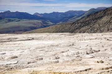Travertine terraces at Mammoth Hot Springs, Yellowstone National Park