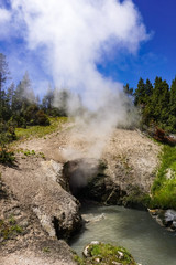 Dragons Mouth Spring, Mud Volcano, Yellowstone National Park