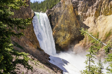 Obraz premium Lower falls, Yellowstone National Park, Wyoming